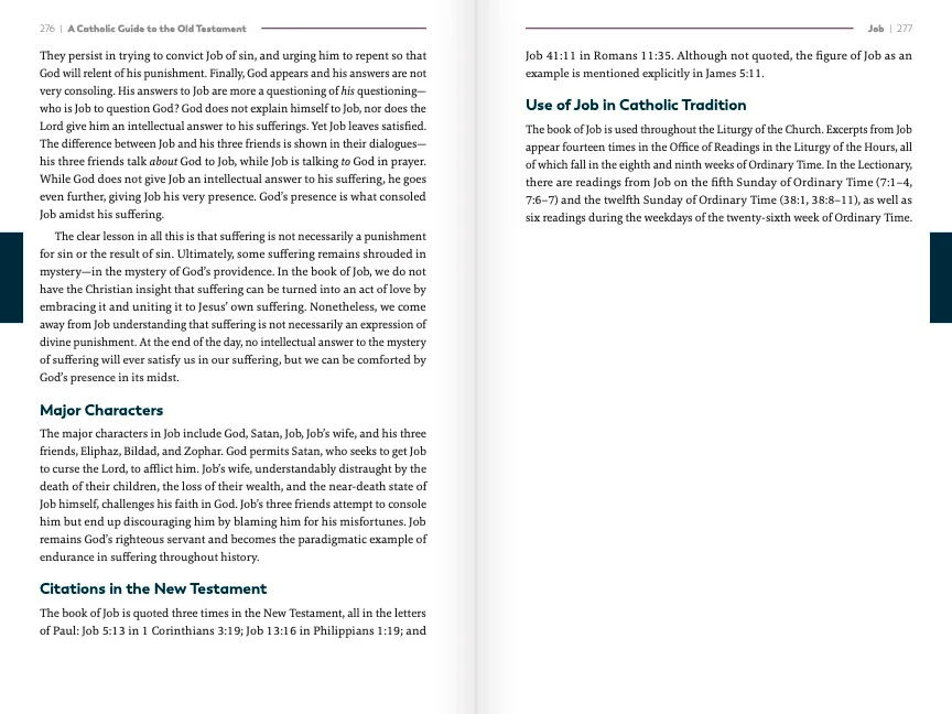 A Catholic Guide to the Old Testament - Image 5