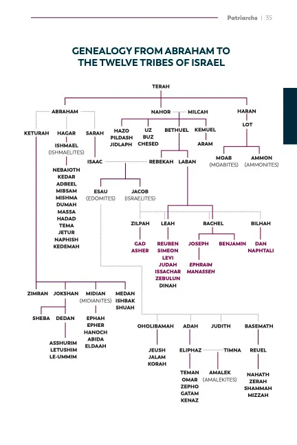 A Catholic Guide to the Old Testament - Image 8
