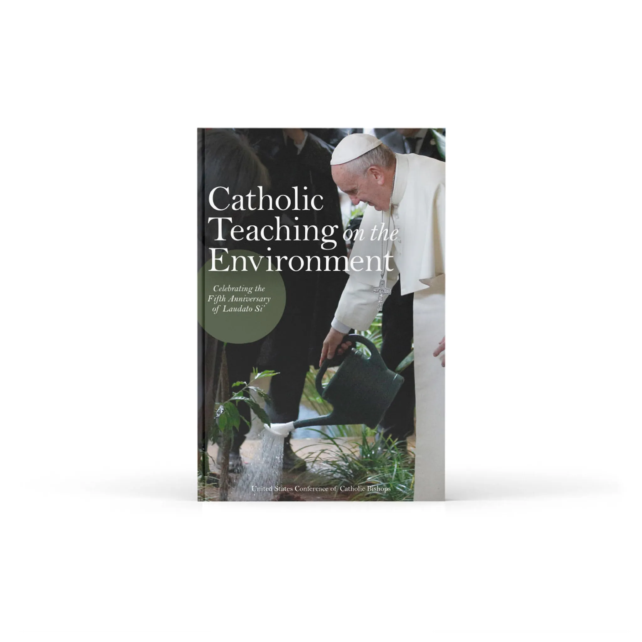 Catholic Teaching on the Environment: Celebrating the Fifth Anniversary of Laudato Si - Image 2