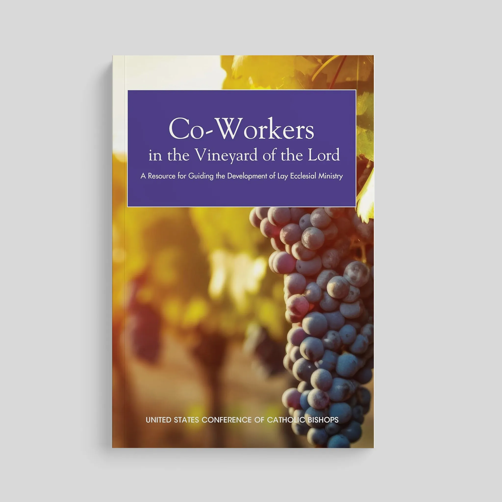 Co-Workers in the Vineyard of the Lord - Image 2
