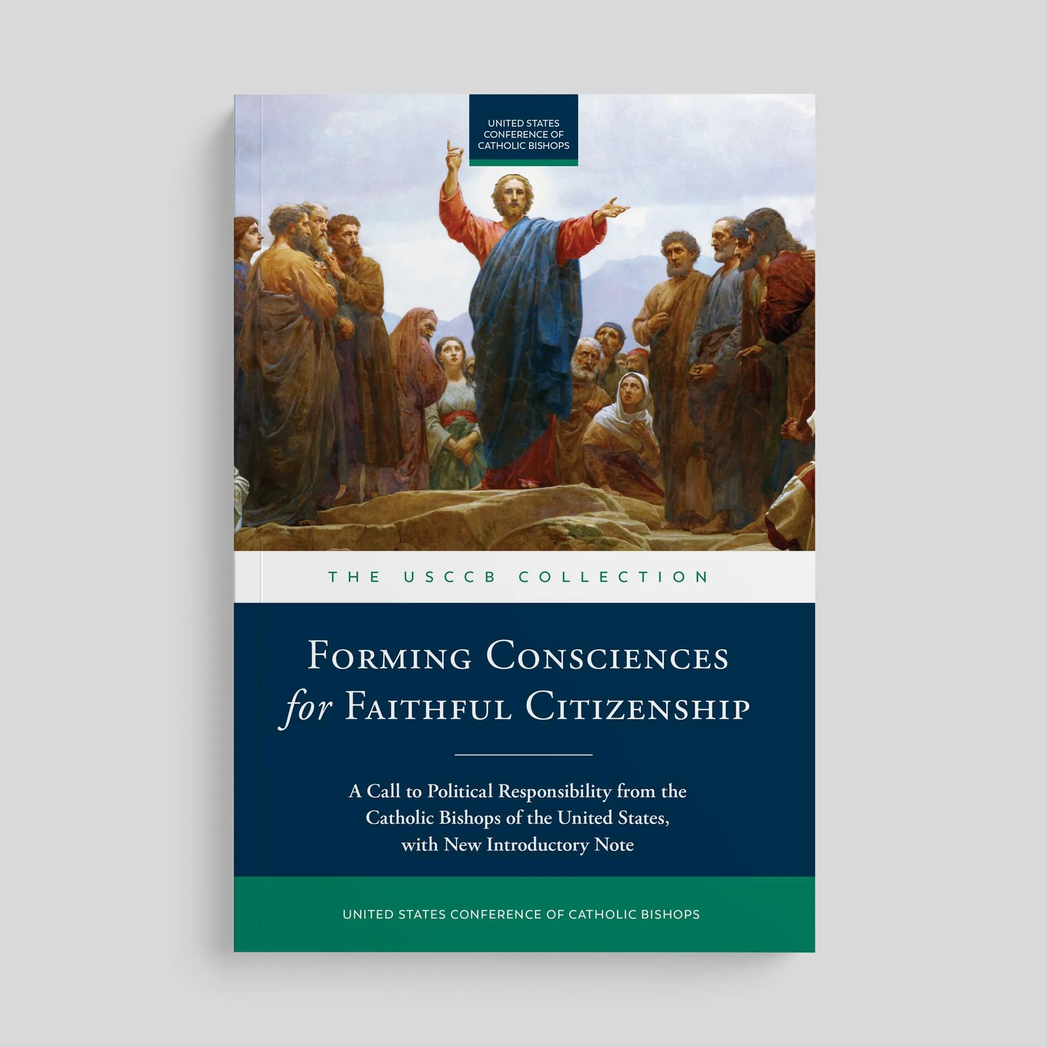 Forming Consciences for Faithful Citizenship: A Call to Political Responsibility - Image 2