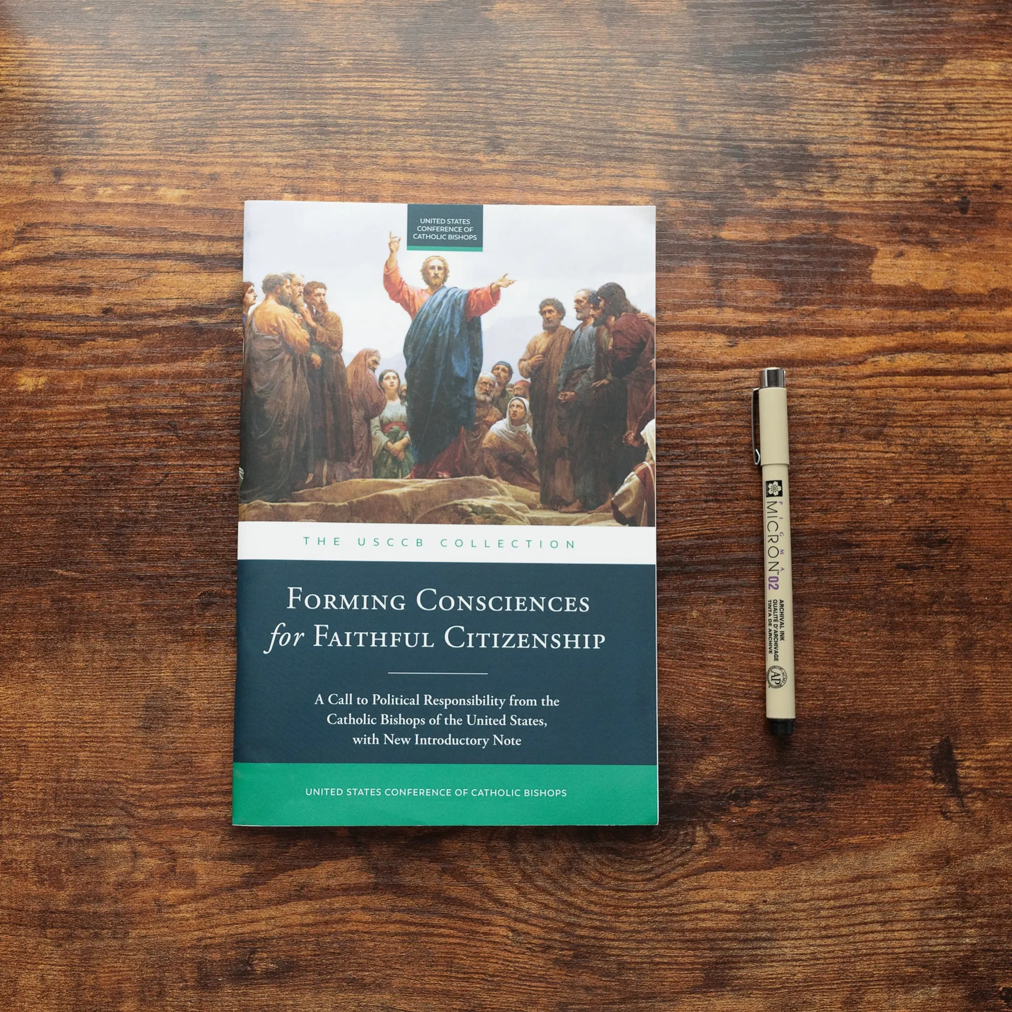 Forming Consciences for Faithful Citizenship: A Call to Political Responsibility - Image 9