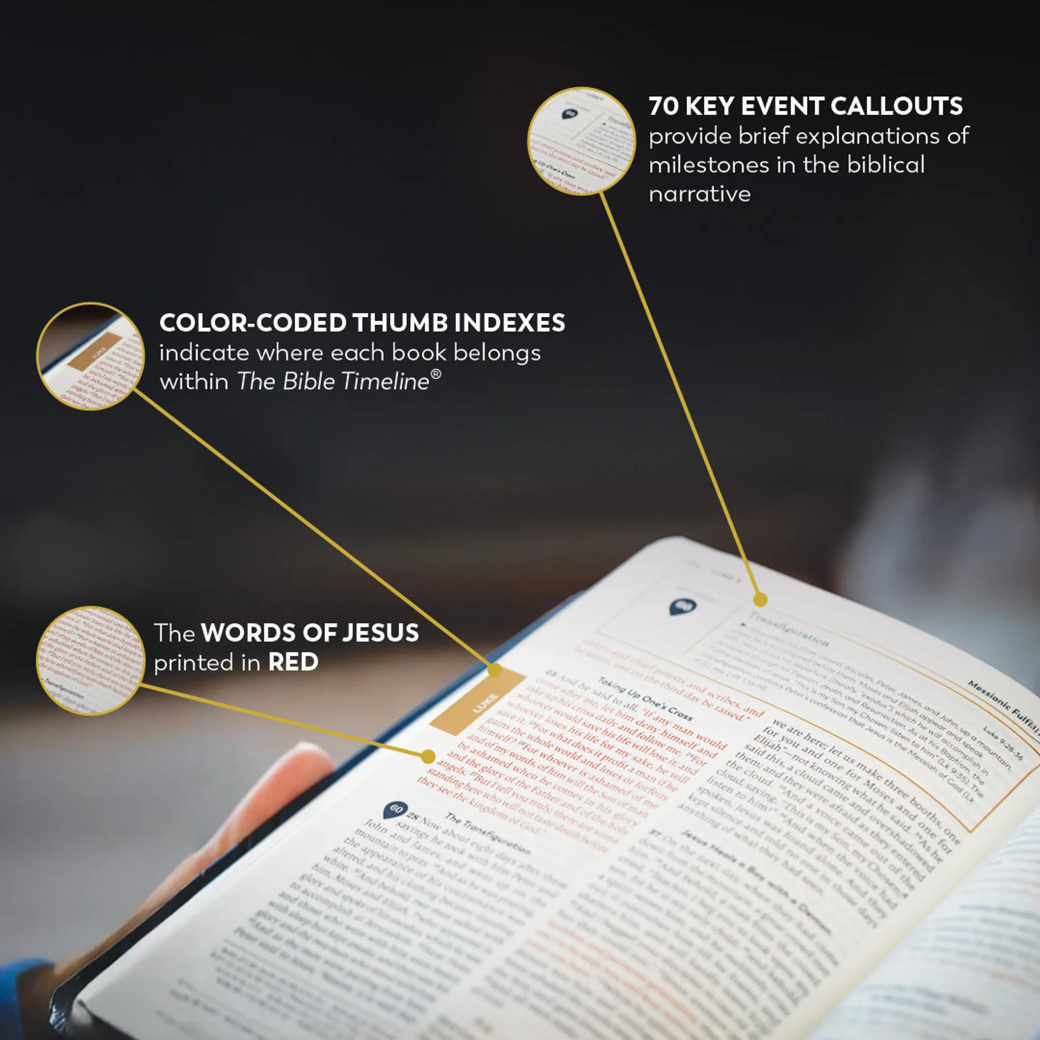 Holy Bible - The Great Adventure Catholic Bible, Second Edition - Image 17