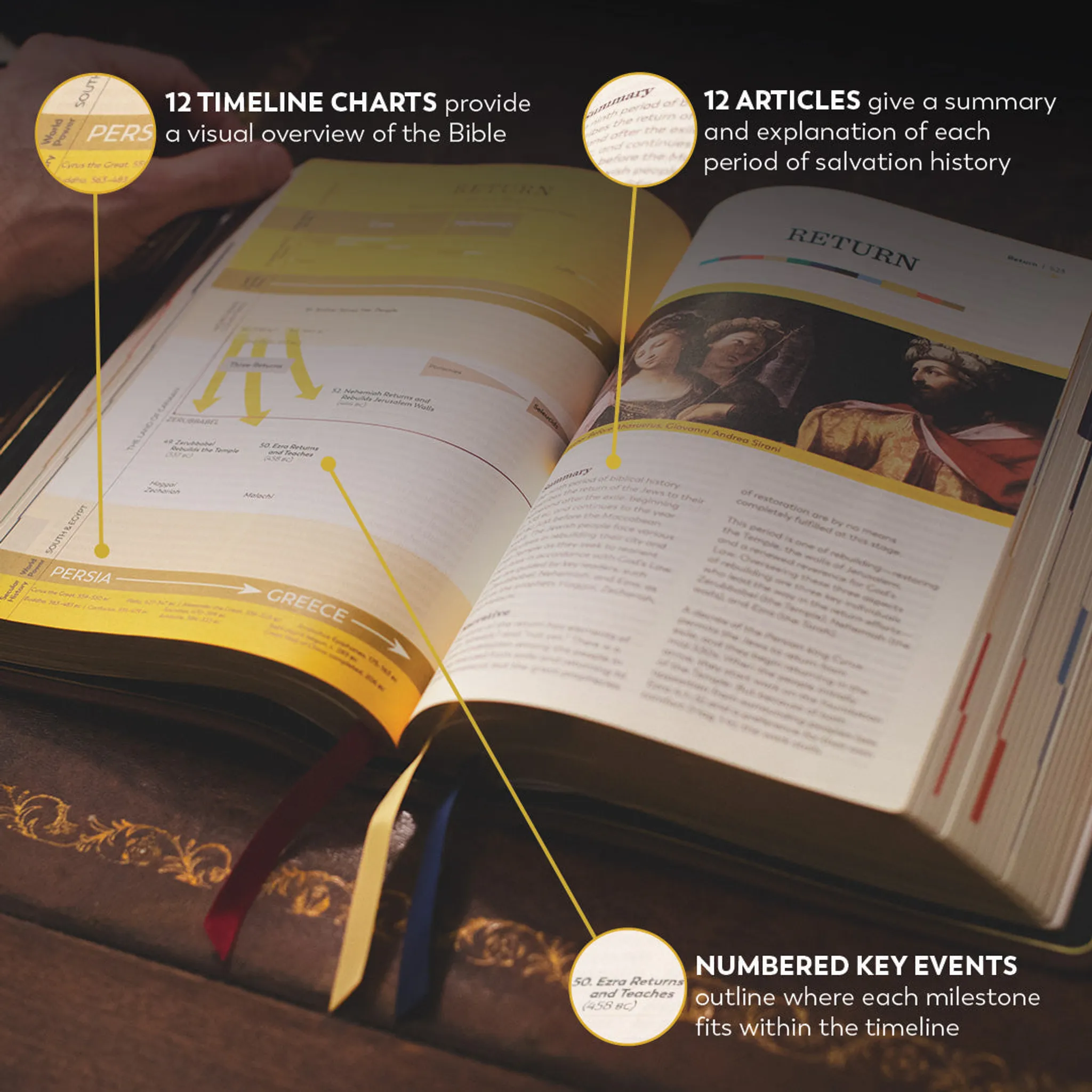 Holy Bible - The Great Adventure Catholic Bible, Second Edition - Image 81