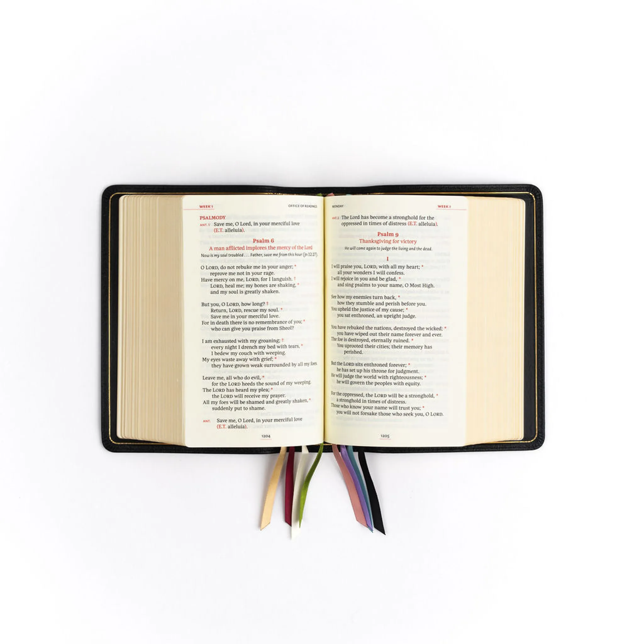 The Liturgy of the Hours, Second Edition - 4-Volume Bundle - Image 73