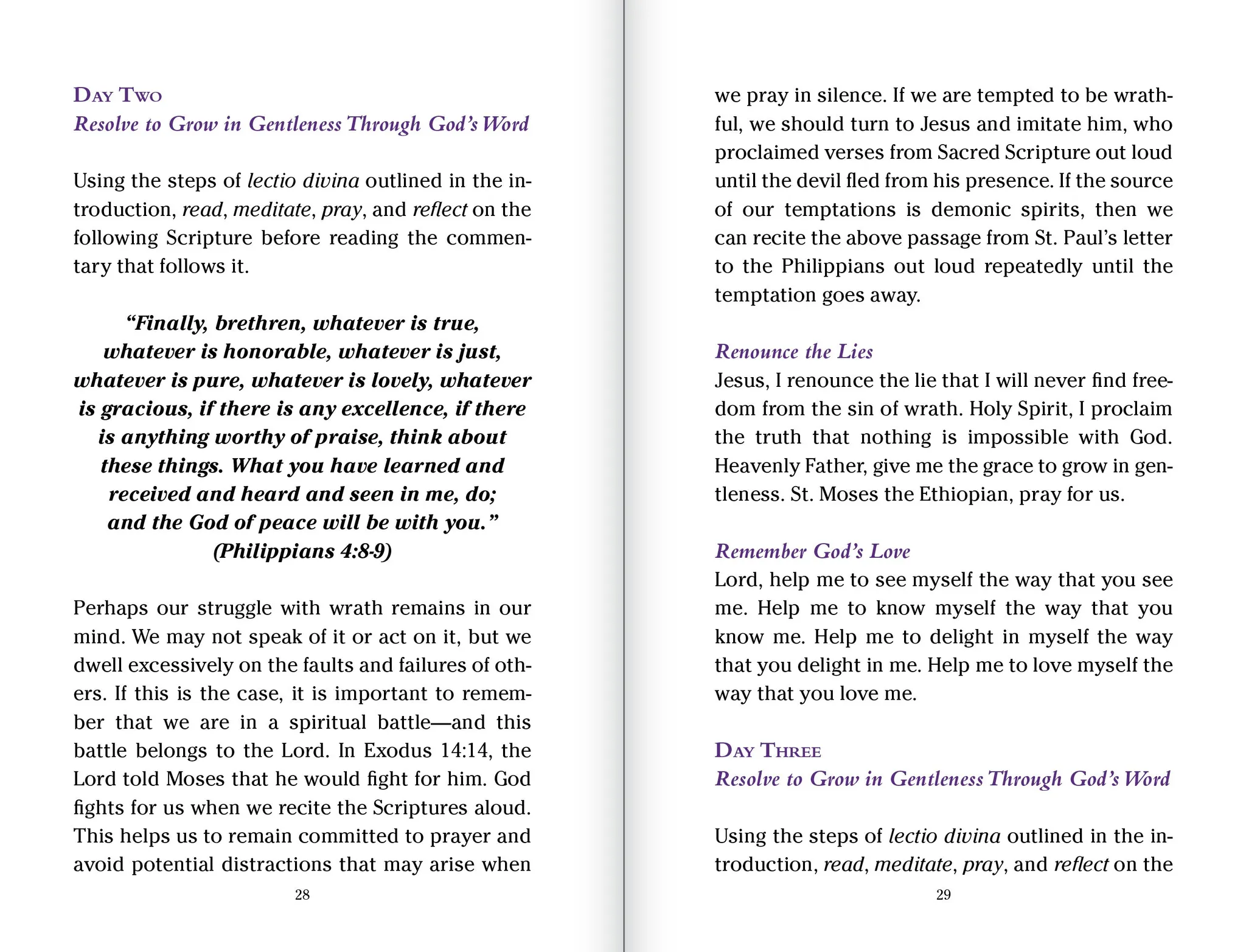 Pocket Guide to Overcoming the Seven Deadly Sins - Image 3