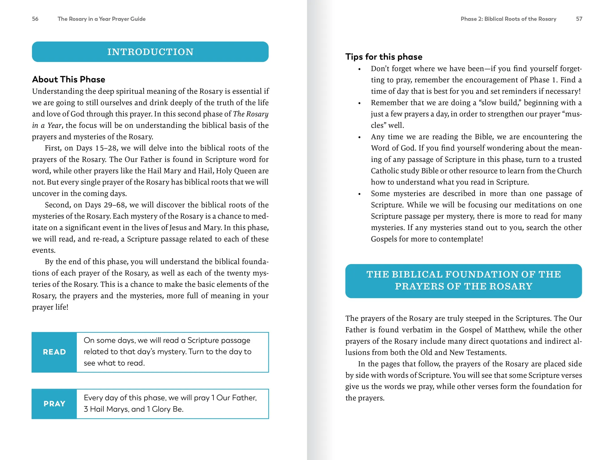 The Rosary in a Year Prayer Guide - Image 3