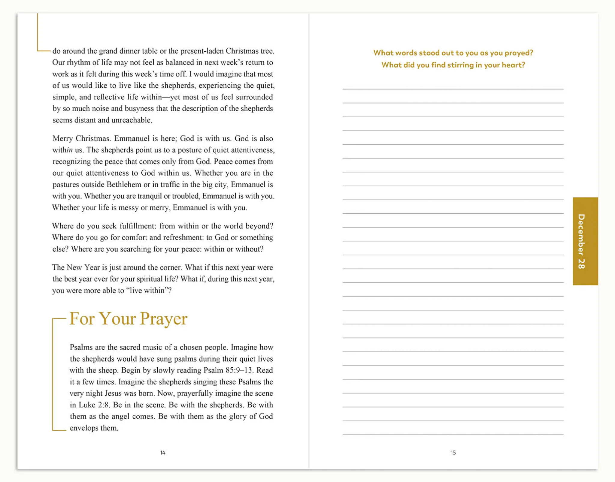 Rejoice and Be Glad, A Journey Through Christmas with the Holy Family, Starter Pack - Image 4