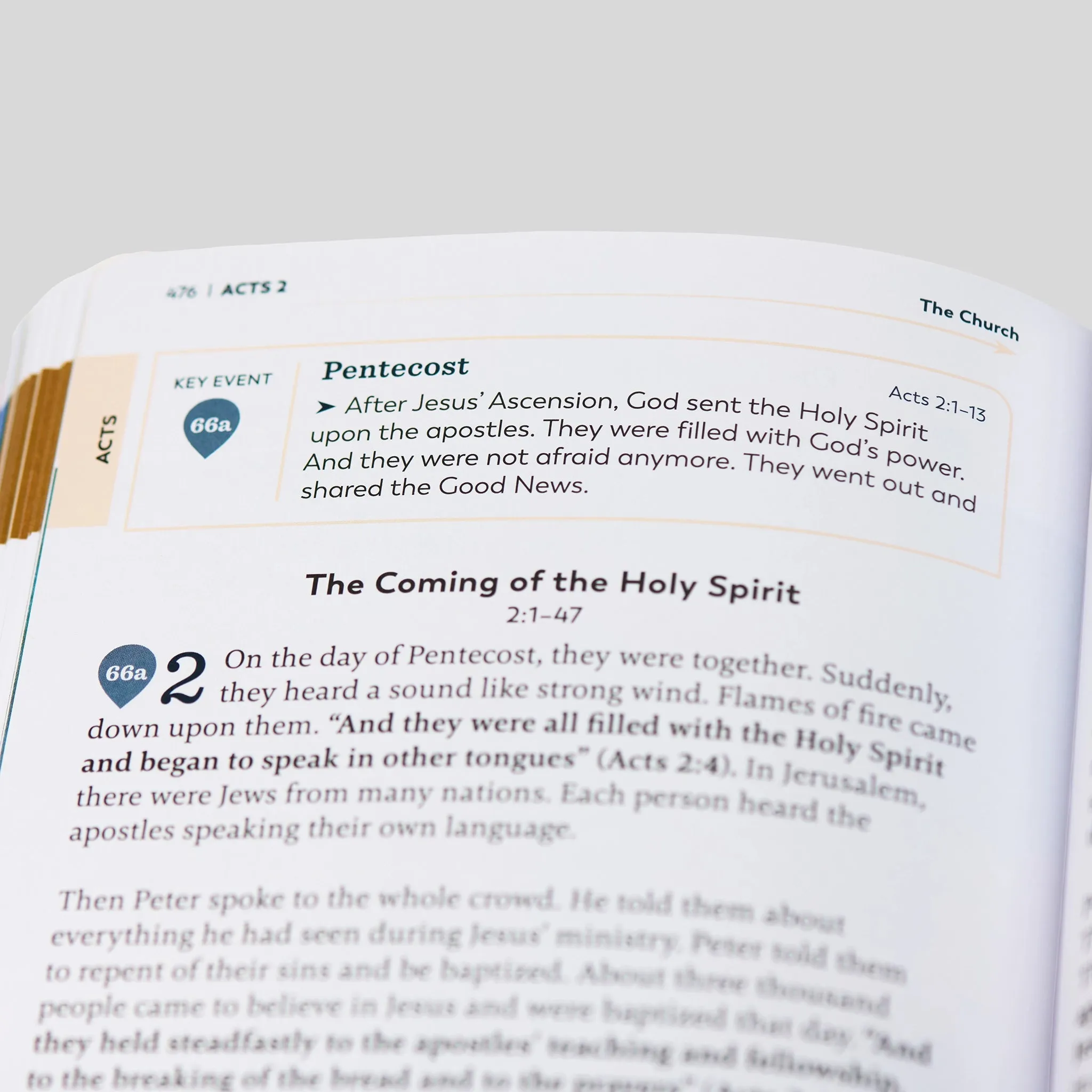 The Great Adventure Catholic Bible for Young Beginners - Image 12