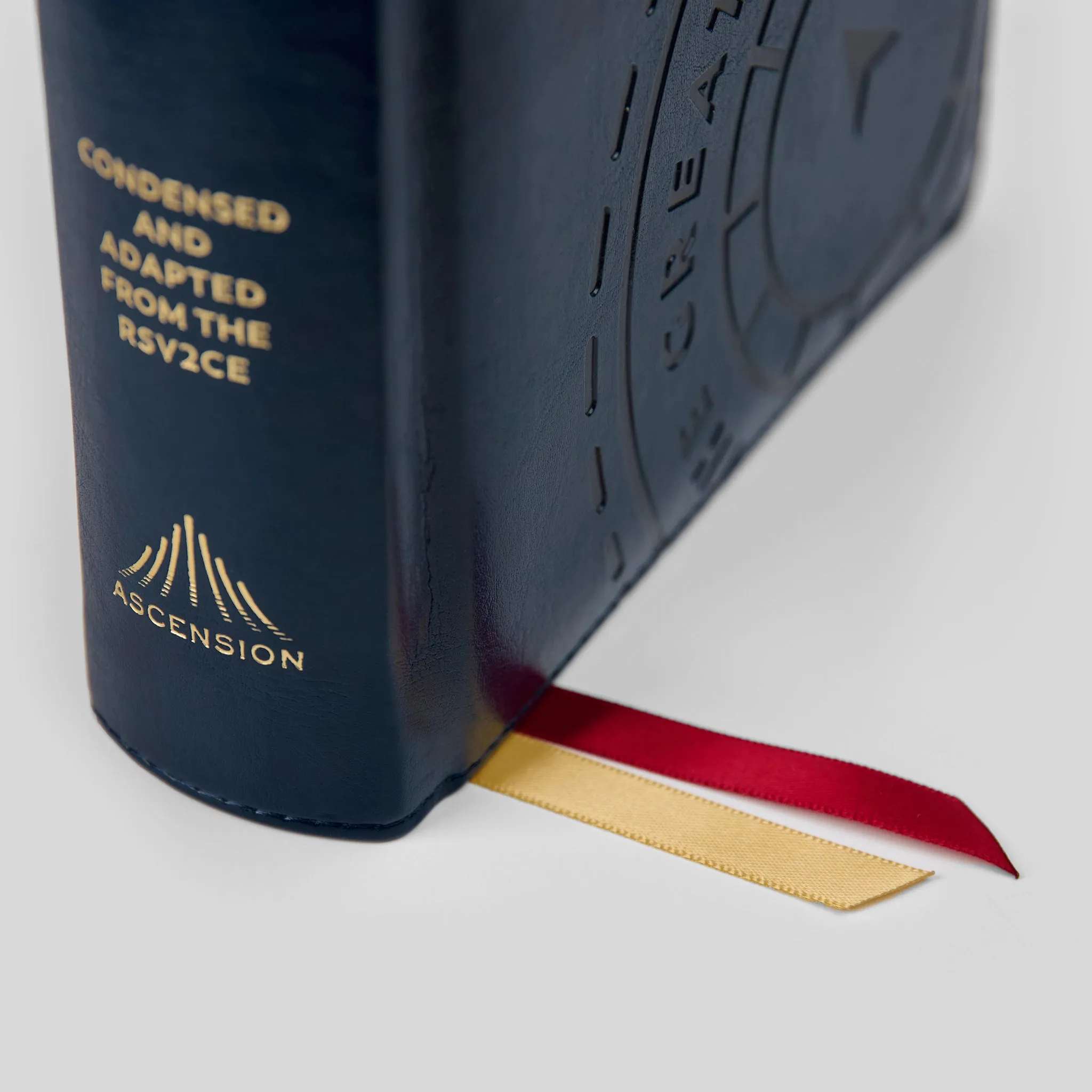The Great Adventure Catholic Bible for Young Beginners - Image 6