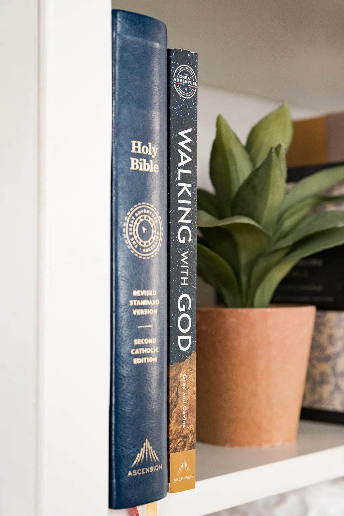 Walking With God: A Journey Through the Bible (2024 Edition) - Image 12