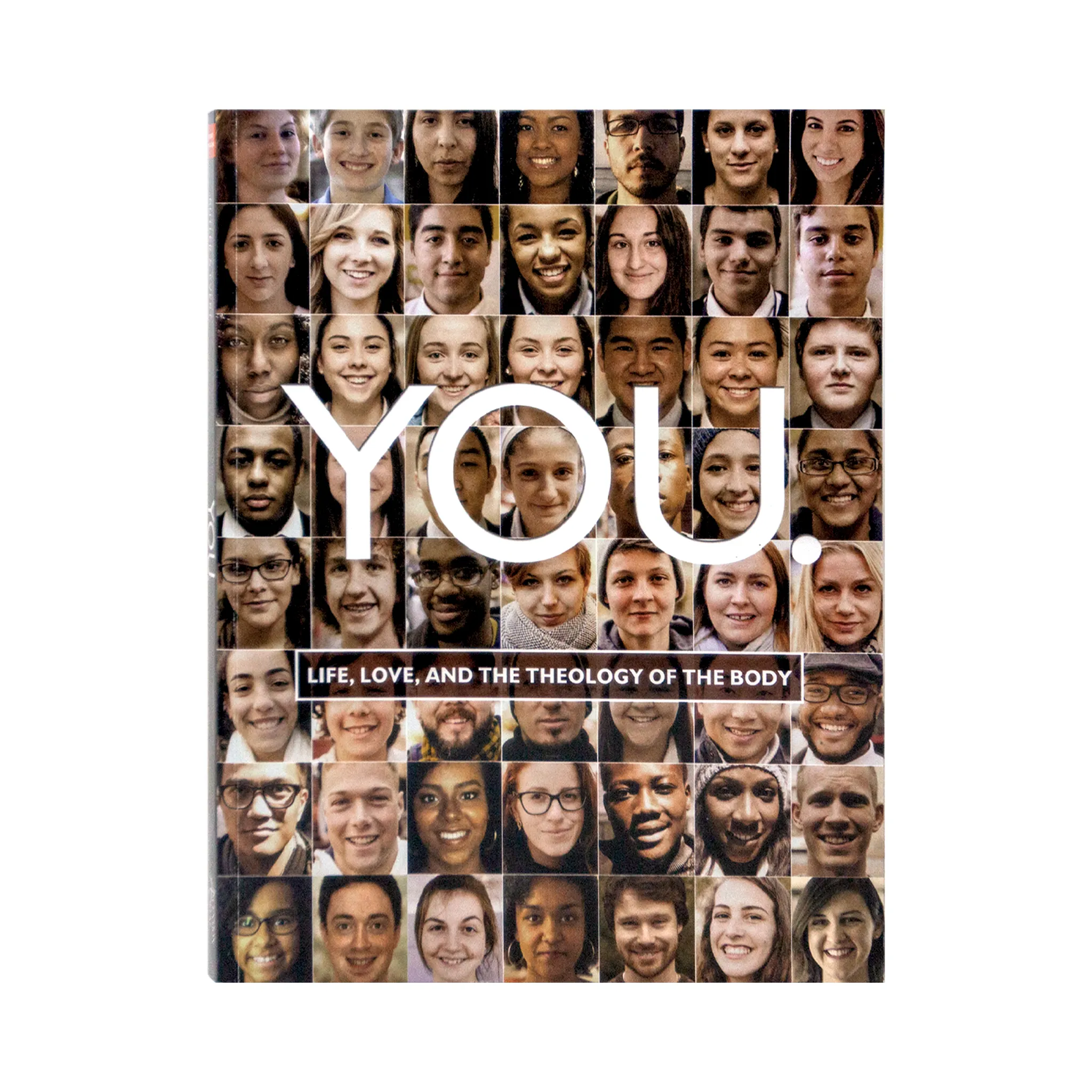 YOU: Life, Love, and the Theology of the Body, Leader's Guide with online access - Image 2